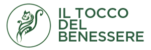 IL TOCCO DEL BENESSERE Logo