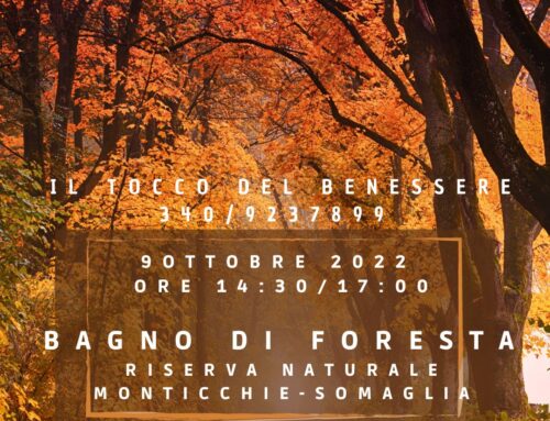 BAGNO DI FORESTA – RISERVA NATURALE MONTICCHIE 9 OTTOBRE 2022 14:30  – STAGIONE AUTUNNO