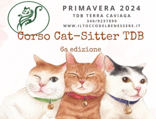 CORSO CAT-SITTER TDB 6a Edizione primavera 2024