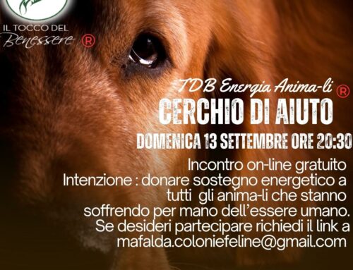 Cerchio di Aiuto – TDB Energia Anima-li 13 settembre  2026 – 20:30